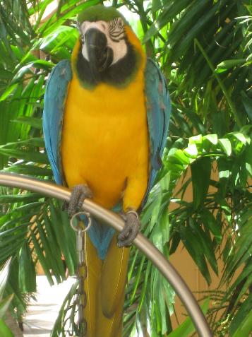 20060120103412   Hotel Bird